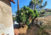 Country house with land for sale on España, Alberic, ref: TR172235 photo