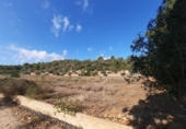 Country house with land for sale on España, Alberic, ref: TR172235 photo