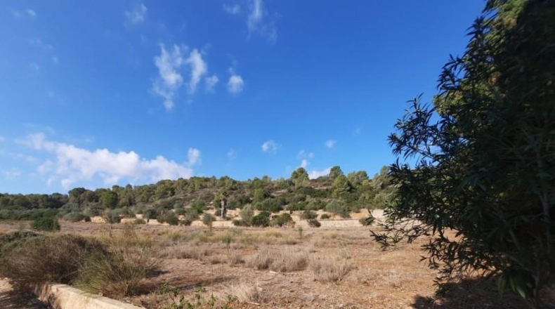 València - Alberique - 25000m2