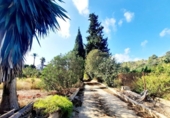 Country house with land for sale on España, Alberic, ref: TR172235 photo