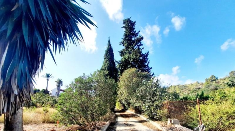 València - Alberique - 25000m2