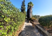Country house with land for sale on España, Alberic, ref: TR172235 photo