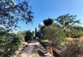 Country house with land for sale on España, Alberic, ref: TR172235 photo