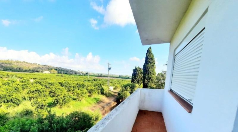 València - Alberique - 25000m2