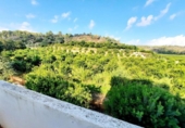 Country house with land for sale on España, Alberic, ref: TR172235 photo