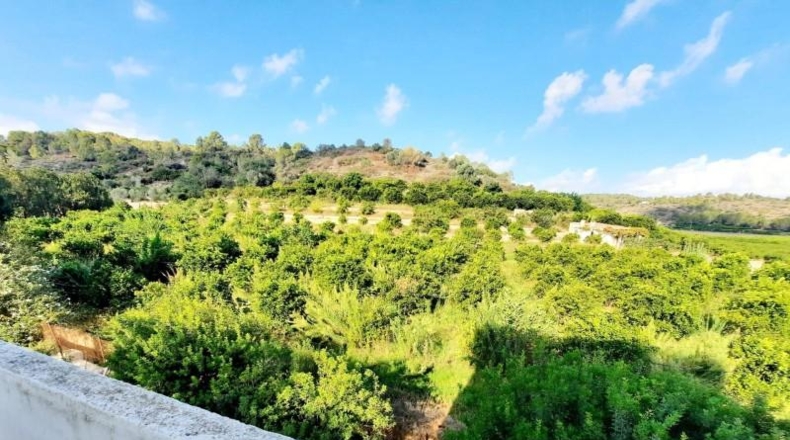 València - Alberique - 25000m2