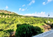Country house with land for sale on España, Alberic, ref: TR172235 photo
