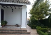 Xalet independent amb terreny en venda a la España, Lucena, ref.: TR239620 foto