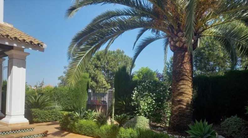 Córdoba - Lucena - 750m2