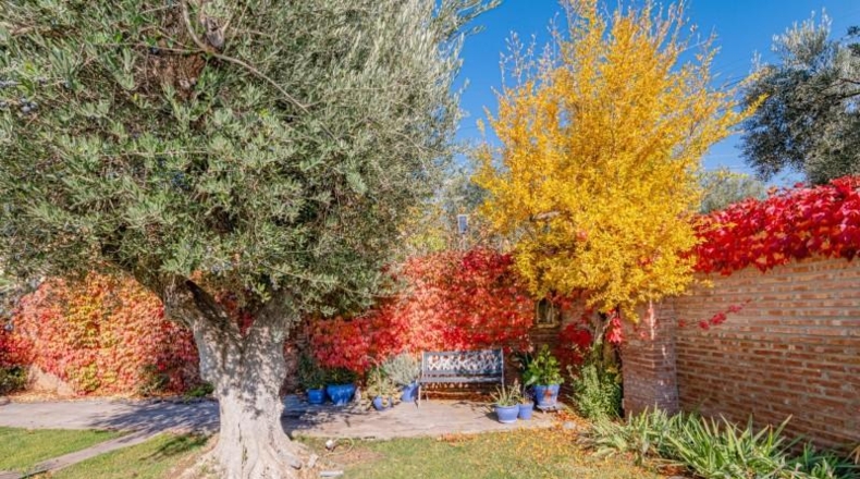 Granada - Gójar - 2142m2