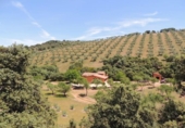 Xalet independent amb terreny en venda a la España, Belvís de la Jara, ref.: TR277059 foto