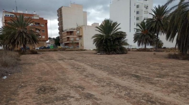 Alicante - Albatera - 5000m2