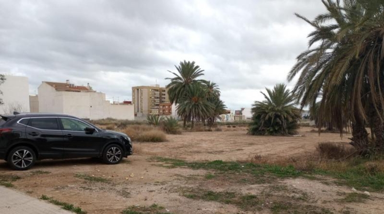 Alicante - Albatera - 5000m2