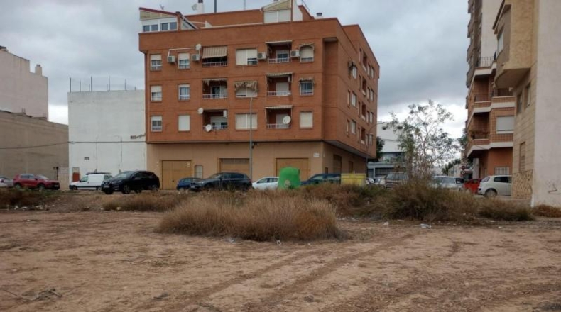 Alicante - Albatera - 5000m2