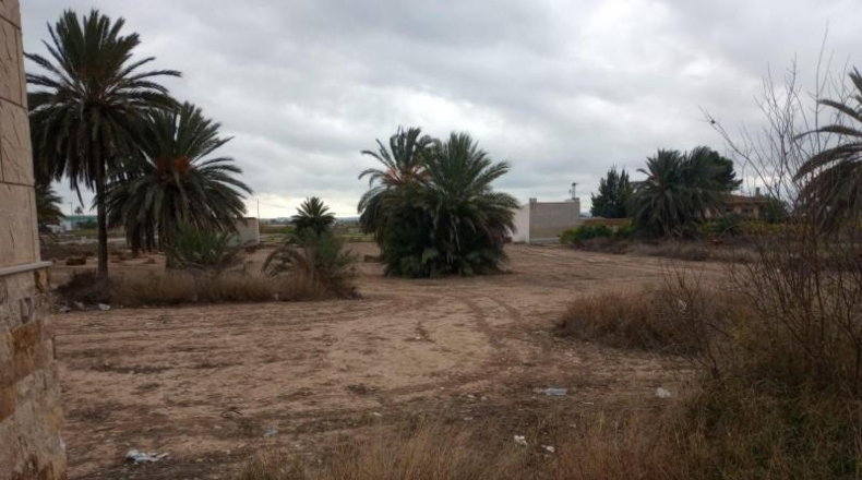 Alicante - Albatera - 5000m2