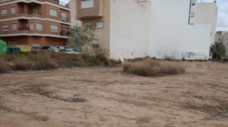 Alicante - Albatera - 5000m2