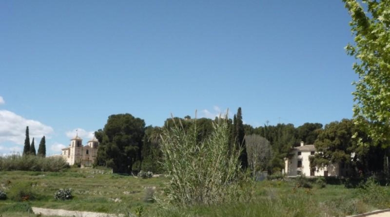 Murcia - Mula - 20000m2