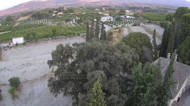 Murcia - Mula - 20000m2