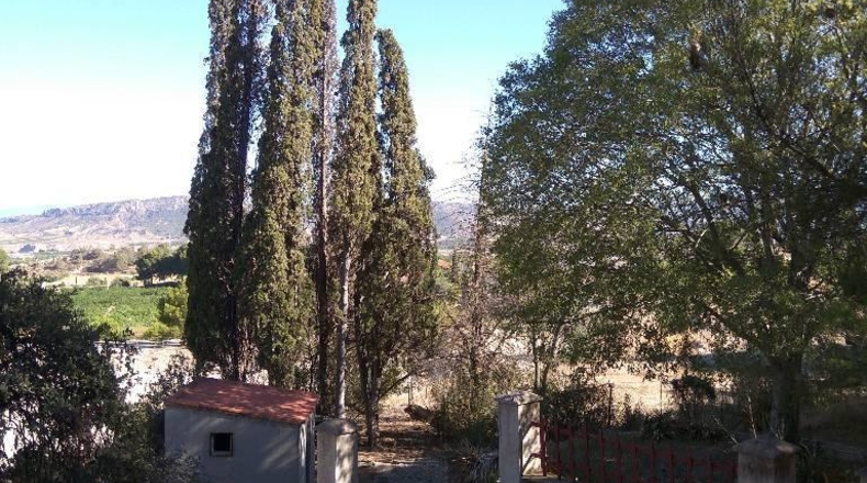 Murcia - Mula - 20000m2