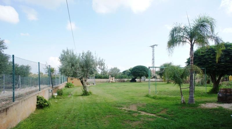 Alicante - Pedreguer - 5000m2