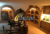Chalet independiente con terreno en venta en la España, Caldes de Malavella, ref: TR193259 foto