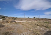 Country house with land for sale on España, Monóvar, ref: TR333808 photo