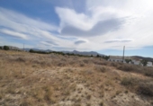 Country house with land for sale on España, Monóvar, ref: TR333808 photo