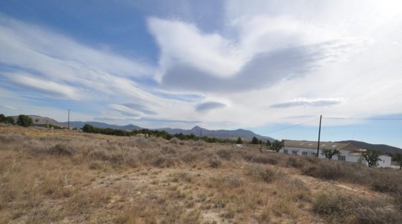 Alicante - Monòver - 100000m2