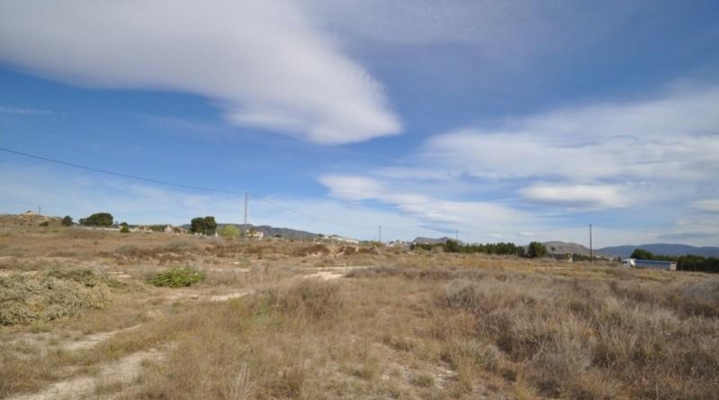 Alicante - Monòver - 100000m2