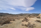 Country house with land for sale on España, Monóvar, ref: TR333808 photo