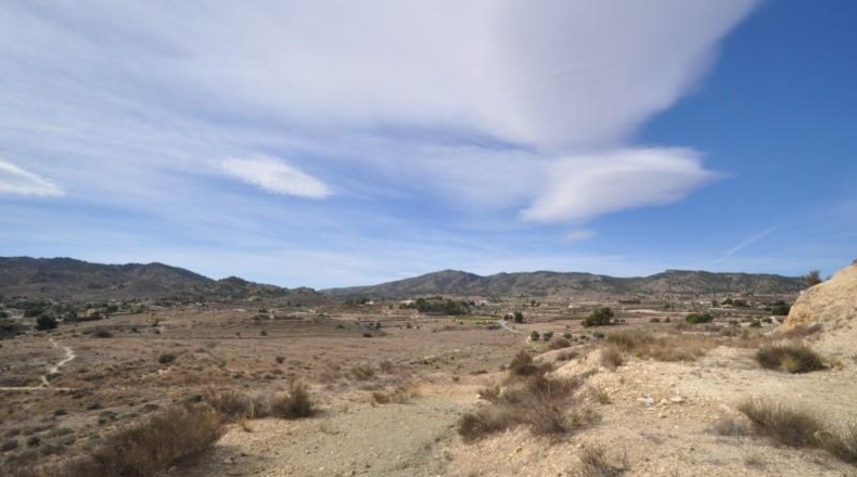 Alicante - Monòver - 100000m2