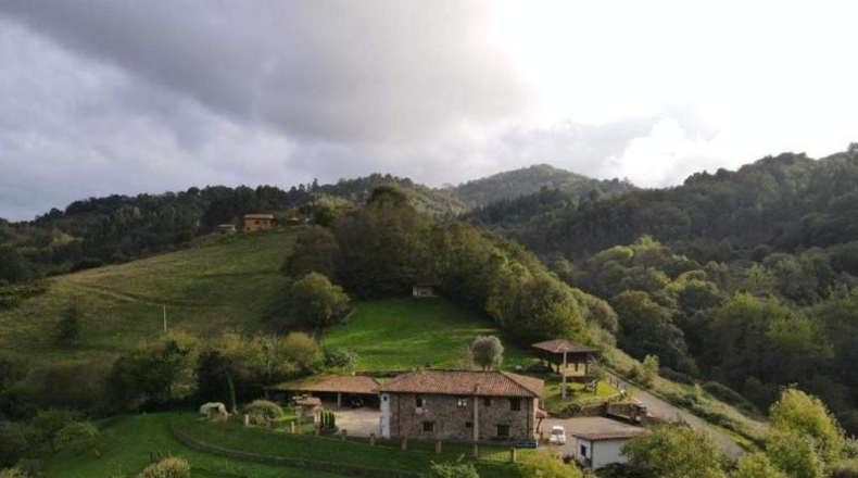 Asturias - Villaviciosa - 5598m2