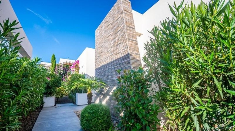 Alicante - Algorfa - 500m2