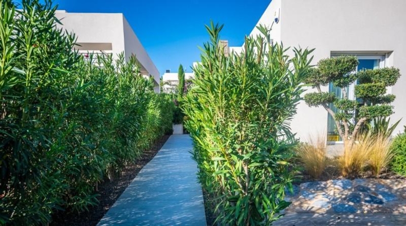 Alicante - Algorfa - 500m2
