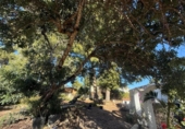 Casa con terreno en venta en la España, La Nucia, ref: TR291857 foto