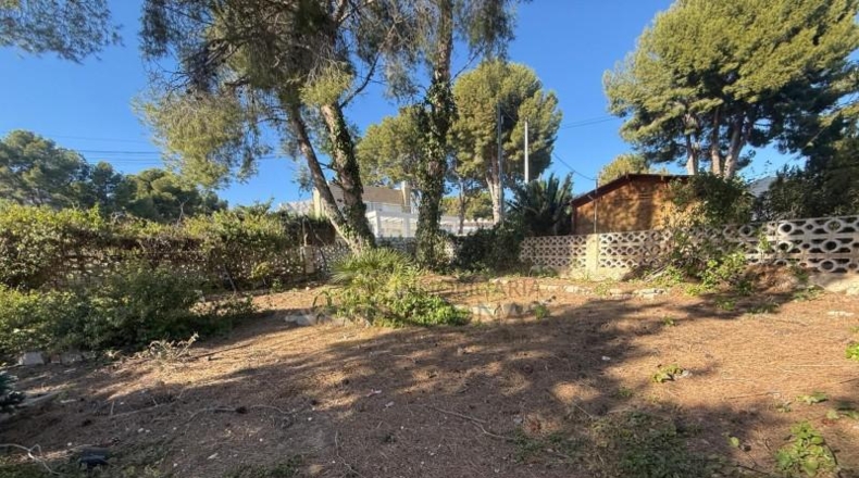 Alicante - La Nucía - 2000m2