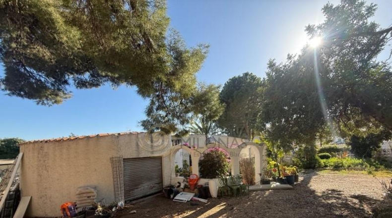 Alicante - La Nucía - 2000m2