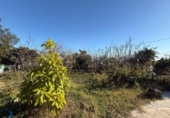 Casa con terreno en venta en la España, La Nucia, ref: TR291857 foto