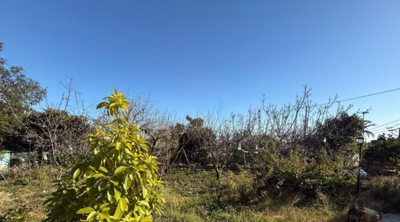 Alicante - La Nucía - 2000m2