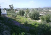 Terreny no urbanitzable en venda a la España, Calasparra, ref.: TR119423 foto