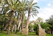 Suelo urbano en venta en la España, Elche, ref: TR123348 foto