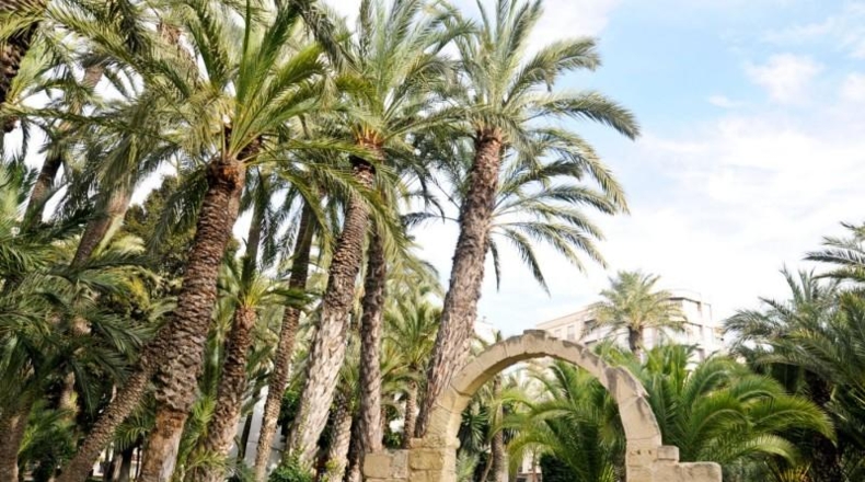 Alicante - Elche - 308m2