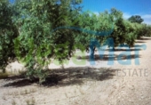 Terreny no urbanitzable en venda a la España, Alhama de Granada, ref.: TR113226 foto