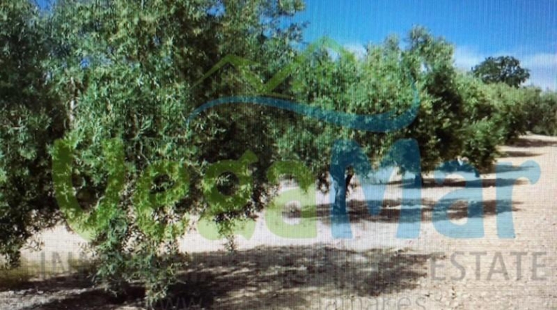 Granada - Alhama de Granada - 120000m2