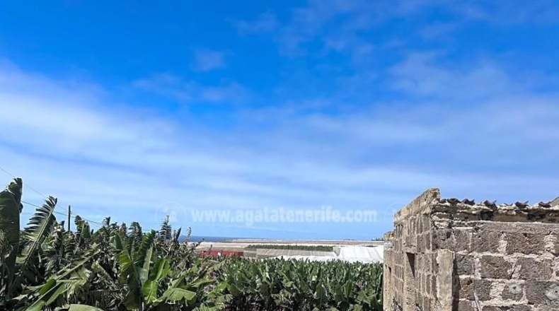 Santa Cruz de Tenerife - Buenavista del Norte - 15397m2
