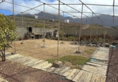 Casa de camp amb terreny en venda a la España, Buenavista del Norte, ref.: TR166316 foto
