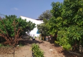 Casa de camp amb terreny en venda a la España, Nerja, ref.: TR166885 foto