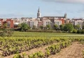 Casa amb terreny en venda a la España, Vilafranca del Penedès, ref.: TR298327 foto