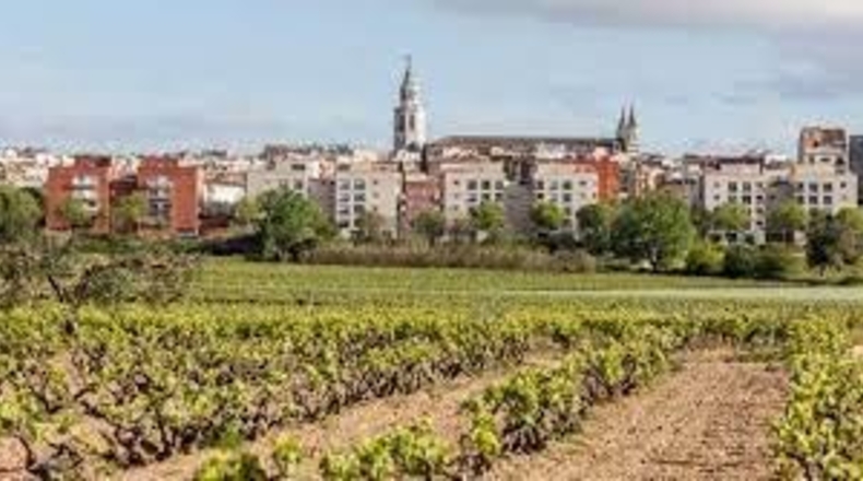 Barcelona - Vilafranca del Penedès - 313m2