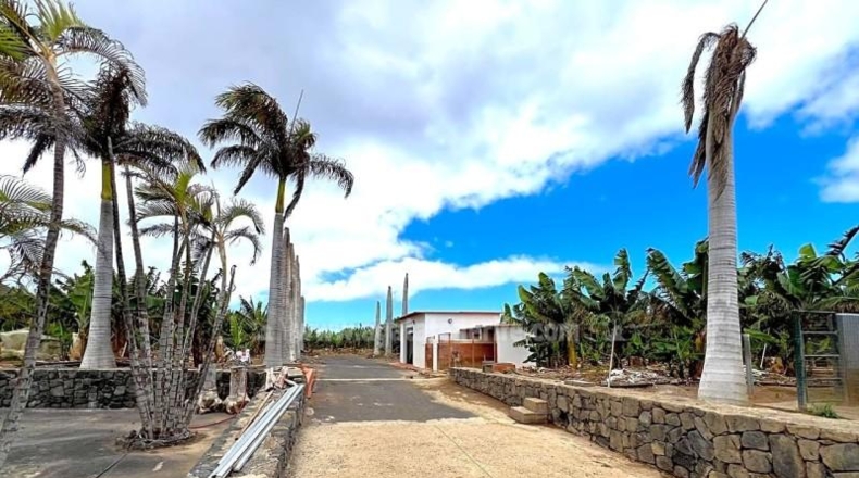 Santa Cruz de Tenerife - Los Silos - 9873m2